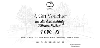 Gift voucher v hodnotě 4 000,- Kč 